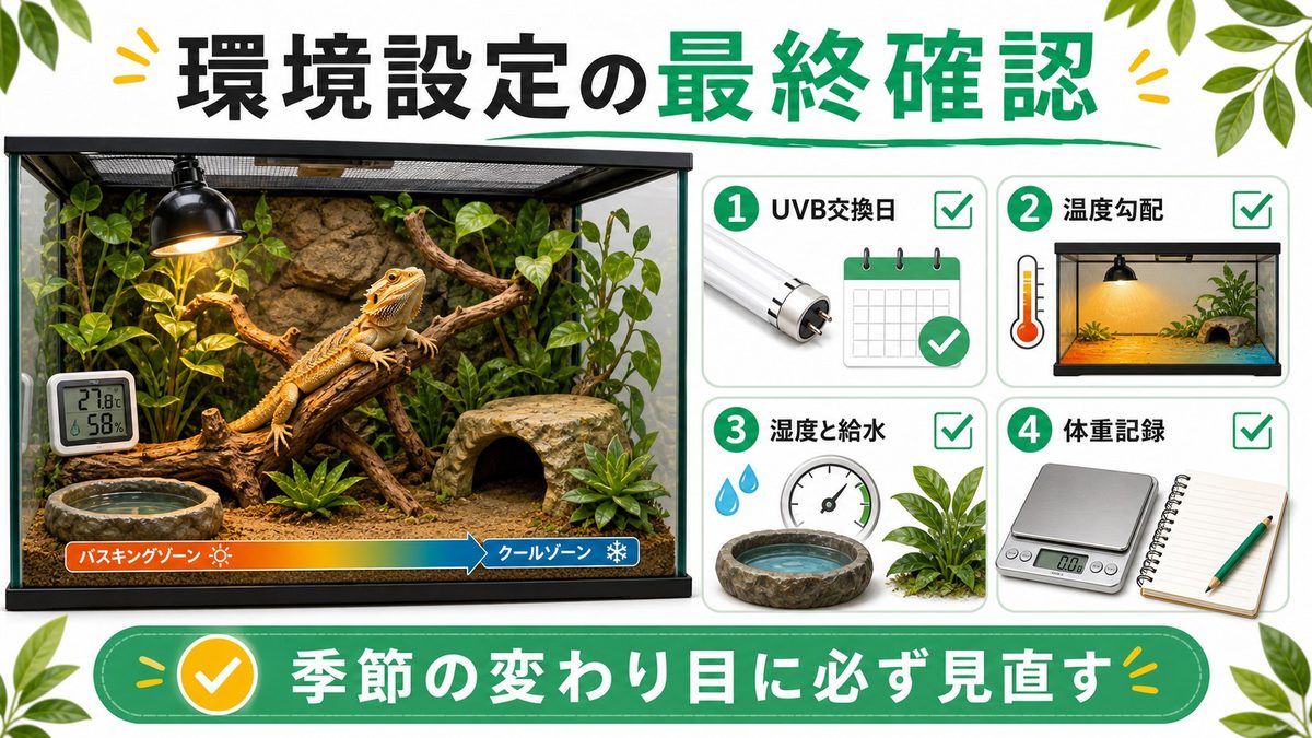 突然死を防ぐ環境設定の最終確認リストの要点をまとめたカメレオン・爬虫類飼育インフォグラフィック