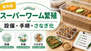爬虫類・カメレオンのスーパーワーム繁殖完全ガイド！自家繁殖の手順・設備・コスト削減・さなぎ化のコツを徹底解説の要点を伝えるカメレオン・爬虫類記事アイキャッチ画像
