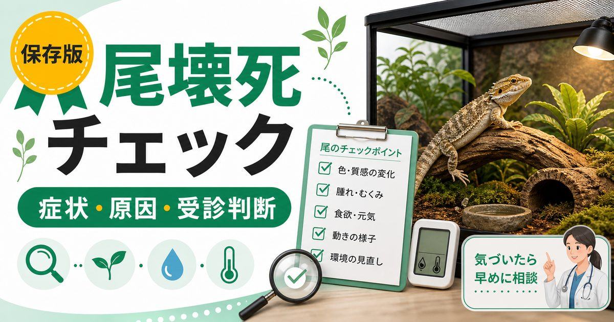爬虫類の尾壊死（テールロット）完全ガイド！血流障害・脱皮不全からの壊死・治療・予防を徹底解説の要点を伝えるカメレオン・爬虫類記事アイキャッチ画像