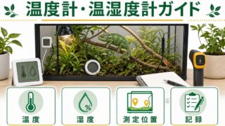 爬虫類用温度計・温湿度計完全ガイド！種類別の選び方・おすすめ商品・正確な測定方法を徹底解説の要点を伝えるカメレオン・爬虫類記事アイキャッチ画像