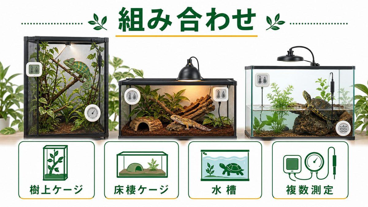 爬虫類の種類別おすすめ機器の組み合わせの要点をまとめたカメレオン・爬虫類飼育インフォグラフィック