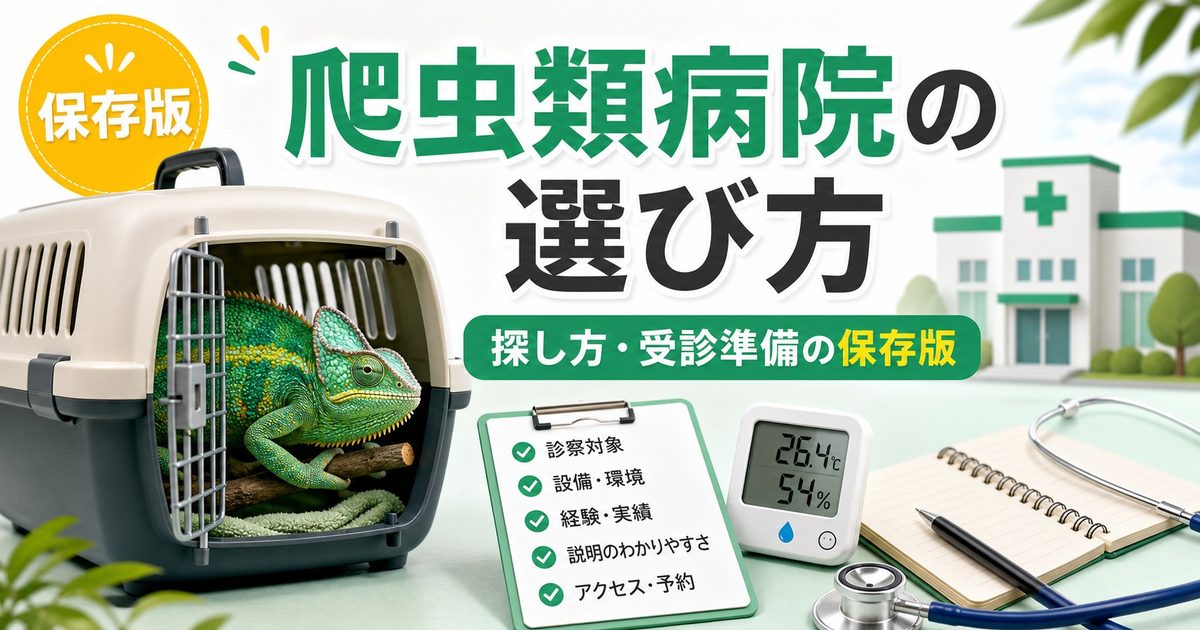 爬虫類専門の動物病院の選び方・探し方完全ガイド！受診タイミング・準備・健診のすすめを徹底解説の要点を伝えるカメレオン・爬虫類記事アイキャッチ画像