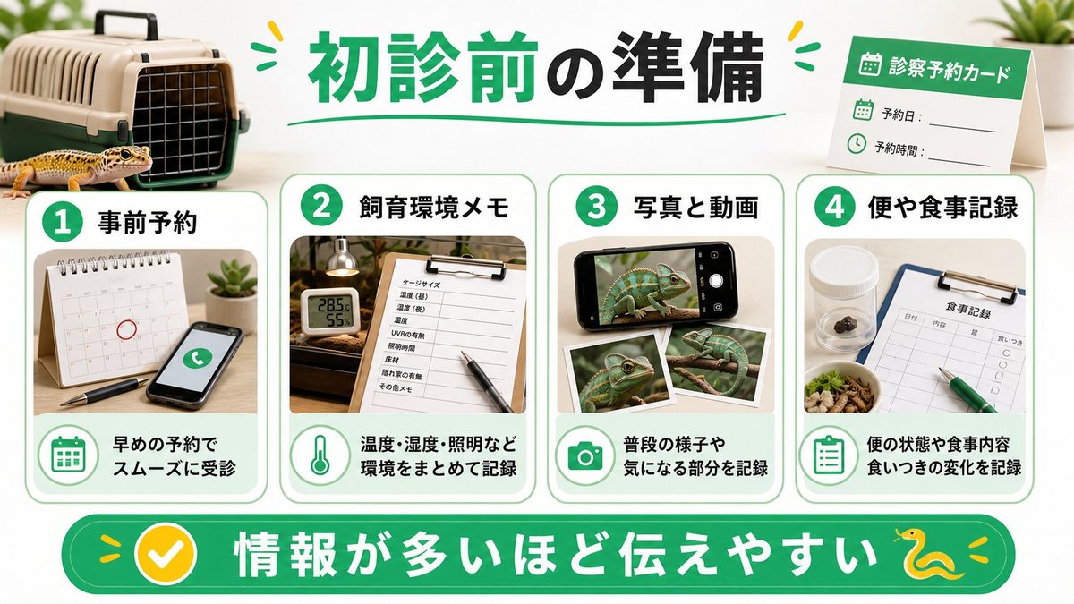 初診前の準備と持ち物リストの要点をまとめたカメレオン・爬虫類飼育インフォグラフィック