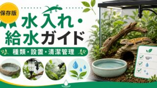 爬虫類用水入れ・ウォーターディッシュ完全ガイド！種類別の選び方・おすすめ商品・設置方法を徹底解説の要点を伝えるカメレオン・爬虫類記事アイキャッチ画像