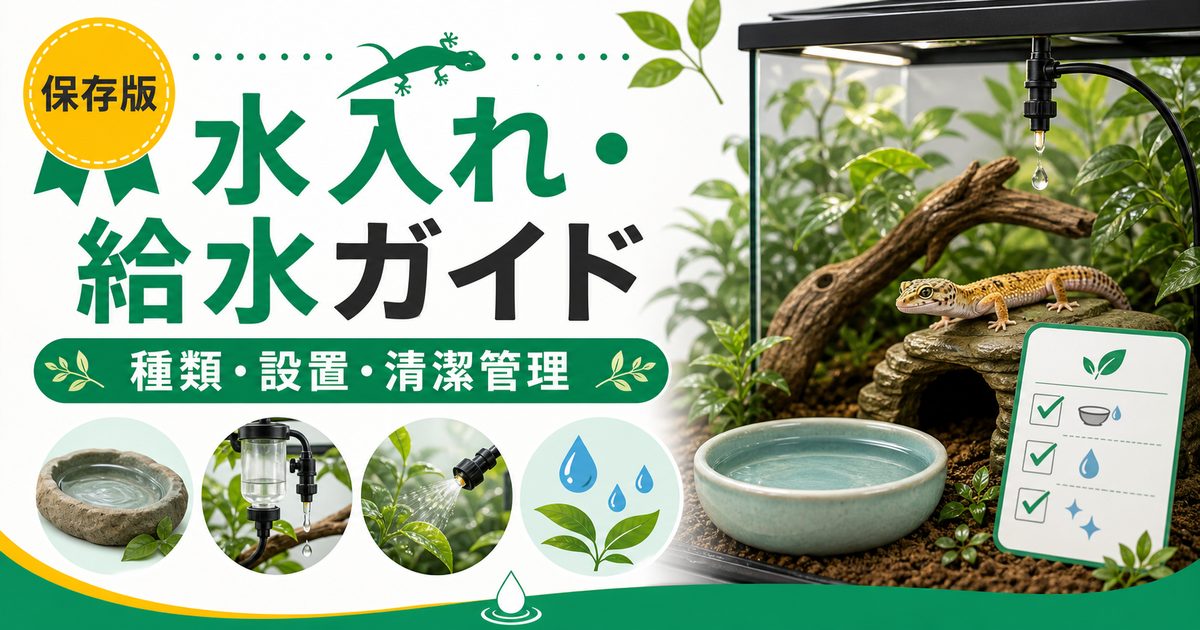 爬虫類用水入れ・ウォーターディッシュ完全ガイド！種類別の選び方・おすすめ商品・設置方法を徹底解説の要点を伝えるカメレオン・爬虫類記事アイキャッチ画像