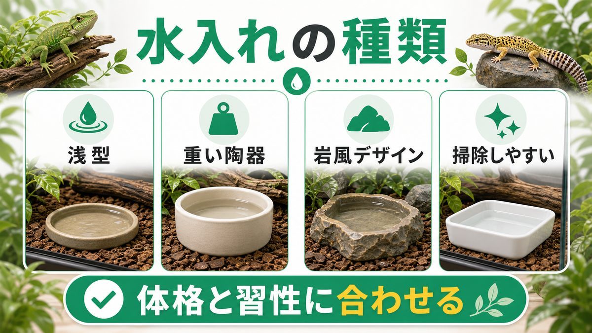 水入れの種類と特徴の要点をまとめたカメレオン・爬虫類飼育インフォグラフィック