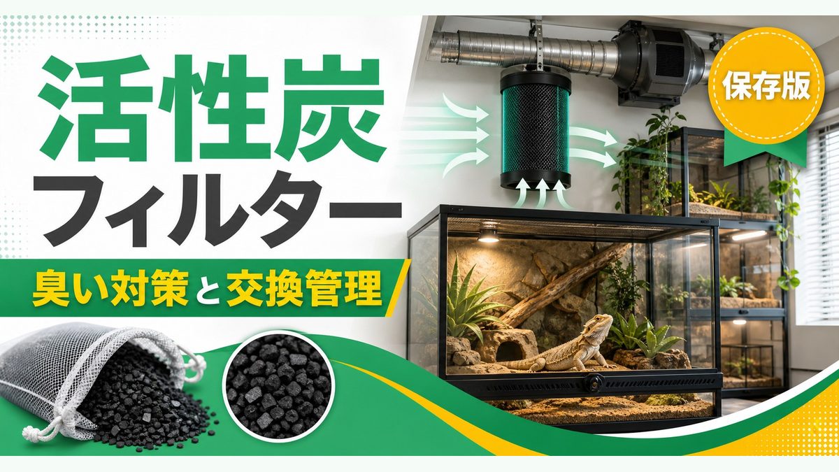 飼育環境の設定の要点をまとめたカメレオン・爬虫類飼育インフォグラフィック