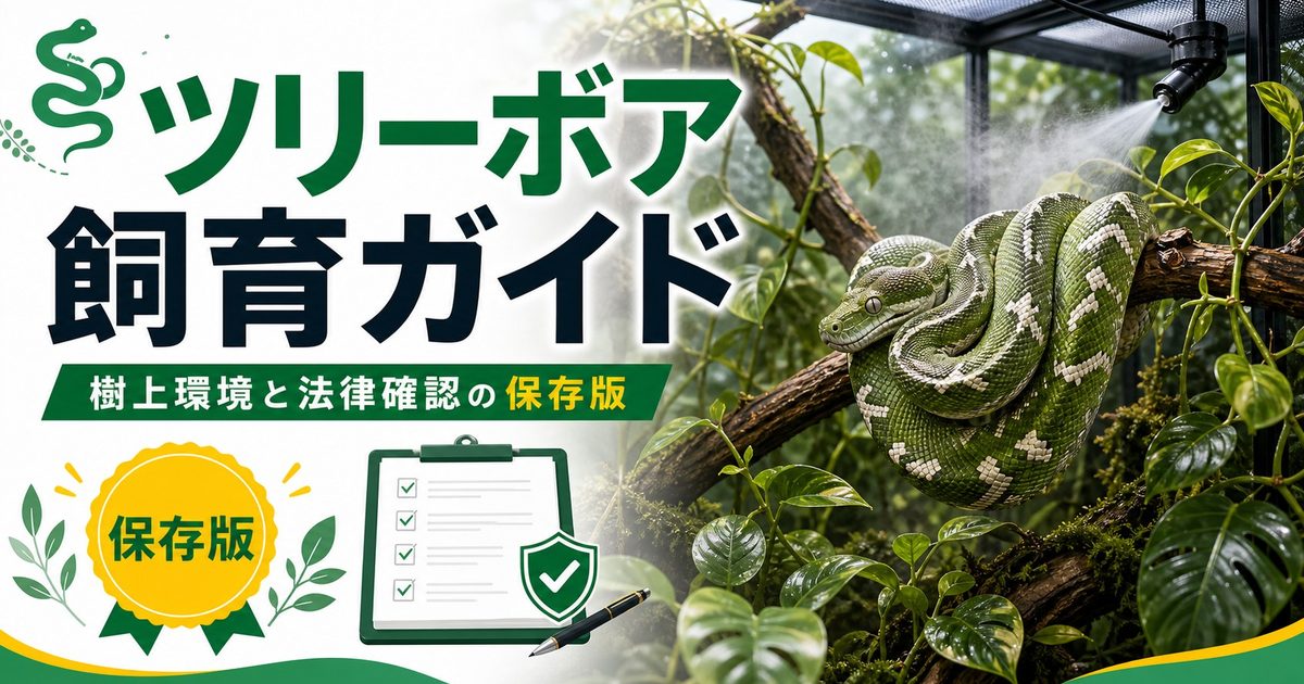 マダガスカルツリーボア（Sanzinia madagascariensis）飼育完全ガイド｜ジュエリーボアの特徴・飼い方・注意点の要点を伝えるカメレオン・爬虫類記事アイキャッチ画像