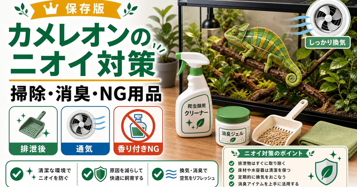 【臭い対策】カメレオン・爬虫類の気になるニオイ！オススメ消臭アイテム5選紹介！の要点を伝えるカメレオン・爬虫類記事アイキャッチ画像