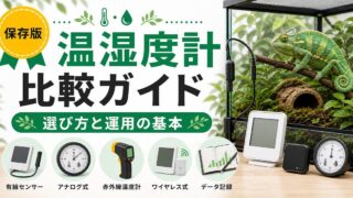 【選び方ガイド】爬虫類用温湿度計徹底比較！6タイプを徹底解説の要点を伝えるカメレオン・爬虫類記事アイキャッチ画像