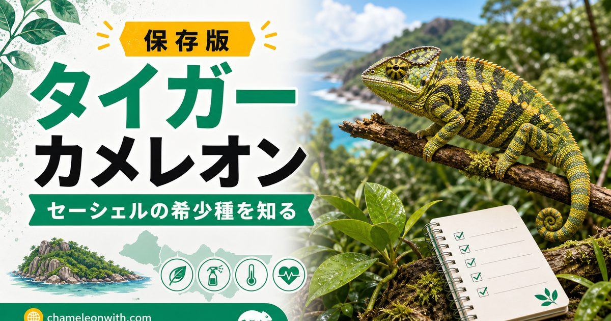 【セーシェル島の秘宝】タイガーカメレオンについて解説！入荷情報・値段は？体色や体の特徴は？【繁殖情報も】の要点を伝えるカメレオン・爬虫類記事アイキャッチ画像