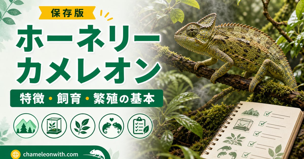 ホーネリーカメレオンの特徴や飼育方法・育て方・生息地・繁殖・注意点について徹底解説！の要点を伝えるカメレオン・爬虫類記事アイキャッチ画像