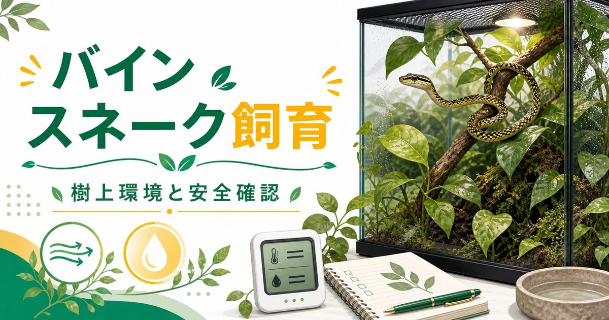 バインスネーク（Ahaetulla）飼育完全ガイド！東南アジア・南アジア産の細身の樹上性ヘビの特徴・ケージ・餌・飼育環境を徹底解説の要点を伝えるカメレオン・爬虫類記事アイキャッチ画像