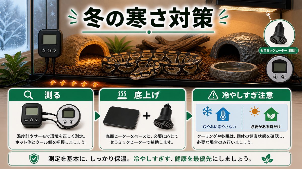 温度を"見える化"する：温湿度計でダブルチェックの要点をまとめたカメレオン・爬虫類飼育インフォグラフィック