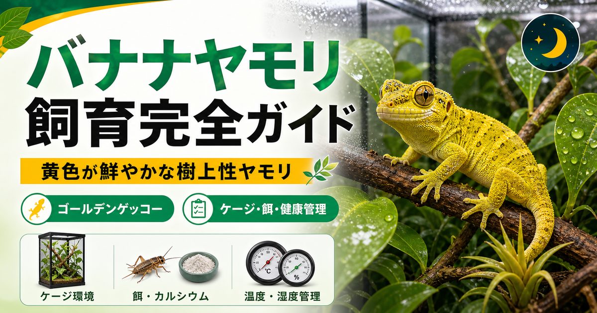 バナナヤモリ飼育完全ガイド｜黄色が鮮やかな樹上性ヤモリの特徴・ケージ・餌を徹底解説の要点を伝えるカメレオン・爬虫類記事アイキャッチ画像