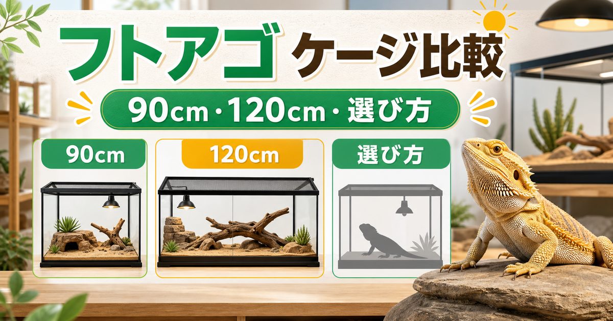 フトアゴのケージおすすめ比較！90〜120cmのサイズと選び方を徹底解説の要点を伝えるカメレオン・爬虫類記事アイキャッチ画像