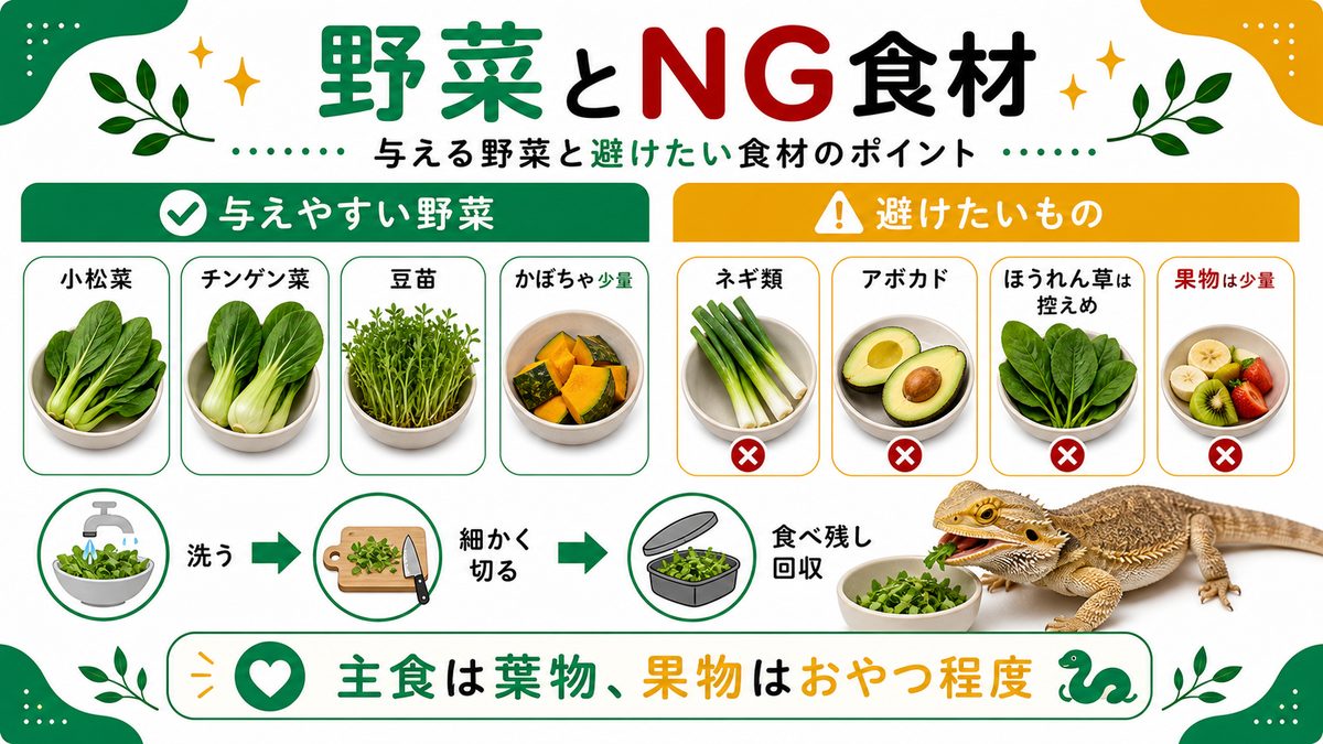 与える野菜・NG野菜の要点をまとめたカメレオン・爬虫類飼育インフォグラフィック