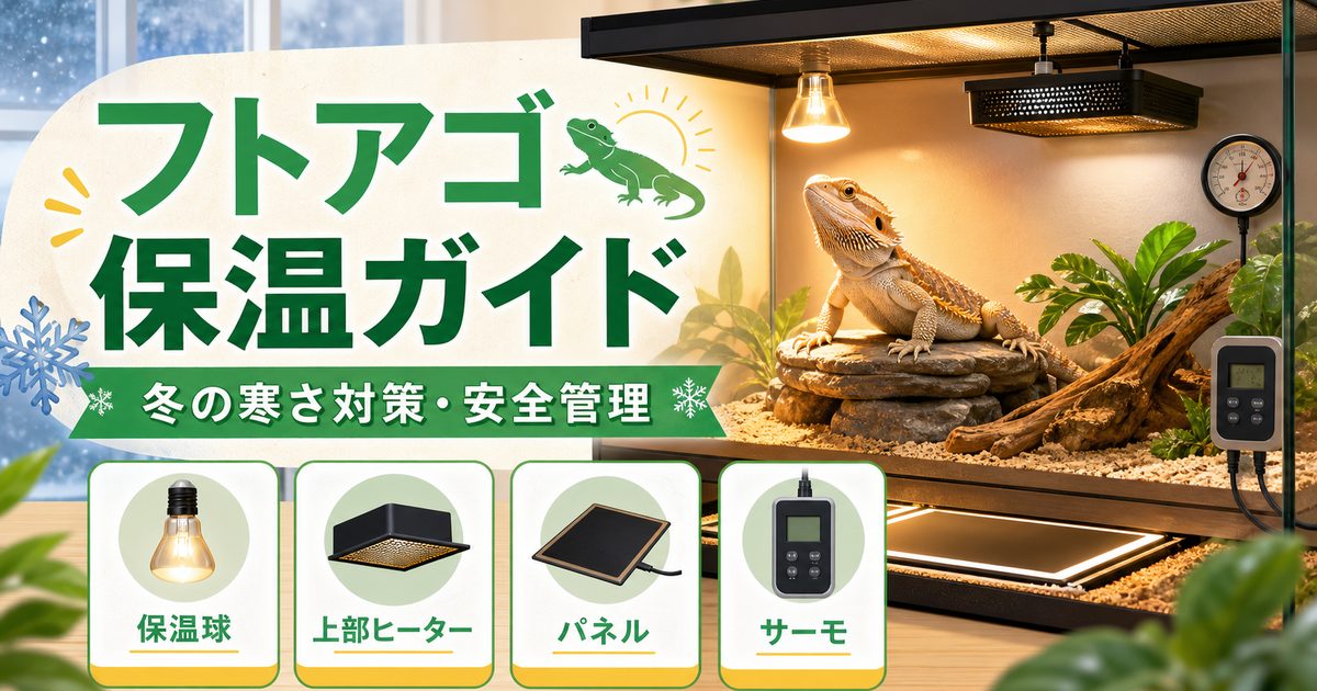 フトアゴの保温・冬の寒さ対策完全ガイド！パネルヒーター・暖突・保温球の選び方の要点を伝えるカメレオン・爬虫類記事アイキャッチ画像