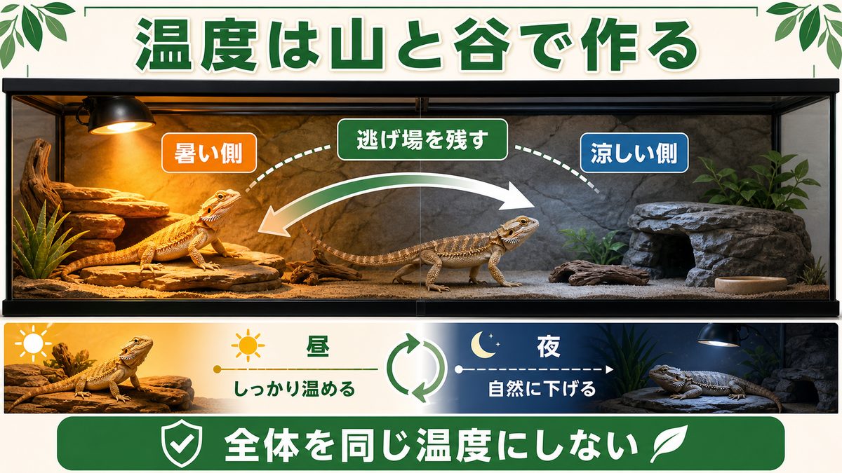 そもそもフトアゴに必要な温度は?「山と谷」を作るのが基本の要点をまとめたカメレオン・爬虫類飼育インフォグラフィック