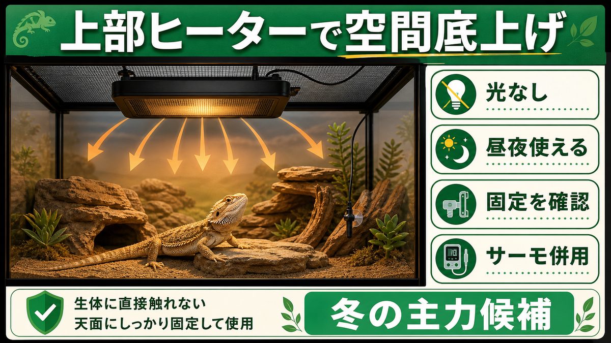 空間全体を温める暖突という選択肢の要点をまとめたカメレオン・爬虫類飼育インフォグラフィック