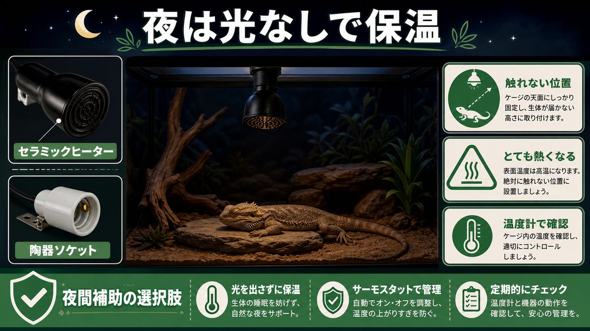 光なしで夜間も保温できるセラミックヒーター(CHE)の要点をまとめたカメレオン・爬虫類飼育インフォグラフィック