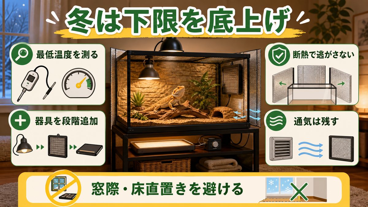 冬の寒さ対策:室温が下がるときの「底上げ」具体策の要点をまとめたカメレオン・爬虫類飼育インフォグラフィック