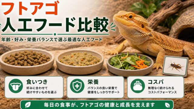 フトアゴの人工フード・ペレットおすすめ比較！食いつき・コスパで選ぶ正解の要点を伝えるカメレオン・爬虫類記事アイキャッチ画像