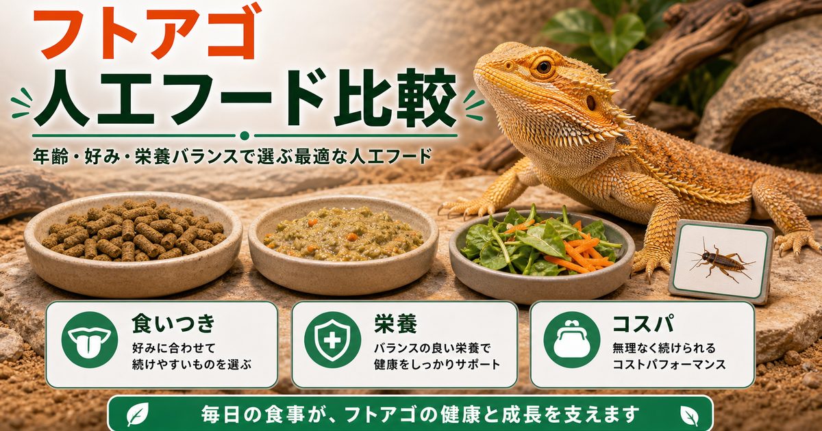 フトアゴの人工フード・ペレットおすすめ比較！食いつき・コスパで選ぶ正解の要点を伝えるカメレオン・爬虫類記事アイキャッチ画像