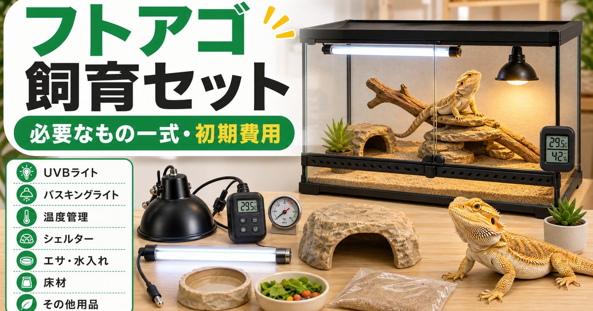 フトアゴヒゲトカゲの飼育に必要なもの一式！初心者の飼育セットと初期費用を徹底解説の要点を伝えるカメレオン・爬虫類記事アイキャッチ画像