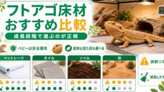 フトアゴの床材おすすめ比較！砂の誤飲リスクとペットシーツ・ソイル・タイルの正解の要点を伝えるカメレオン・爬虫類記事アイキャッチ画像