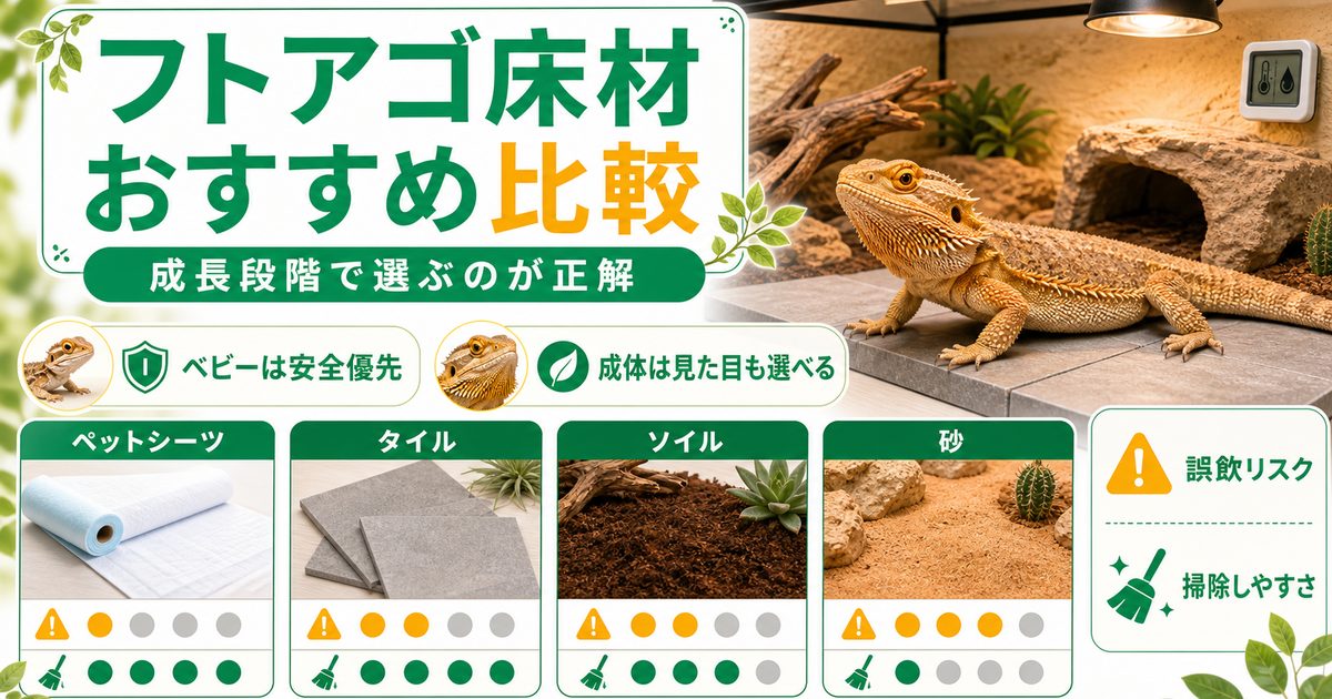 フトアゴの床材おすすめ比較！砂の誤飲リスクとペットシーツ・ソイル・タイルの正解の要点を伝えるカメレオン・爬虫類記事アイキャッチ画像