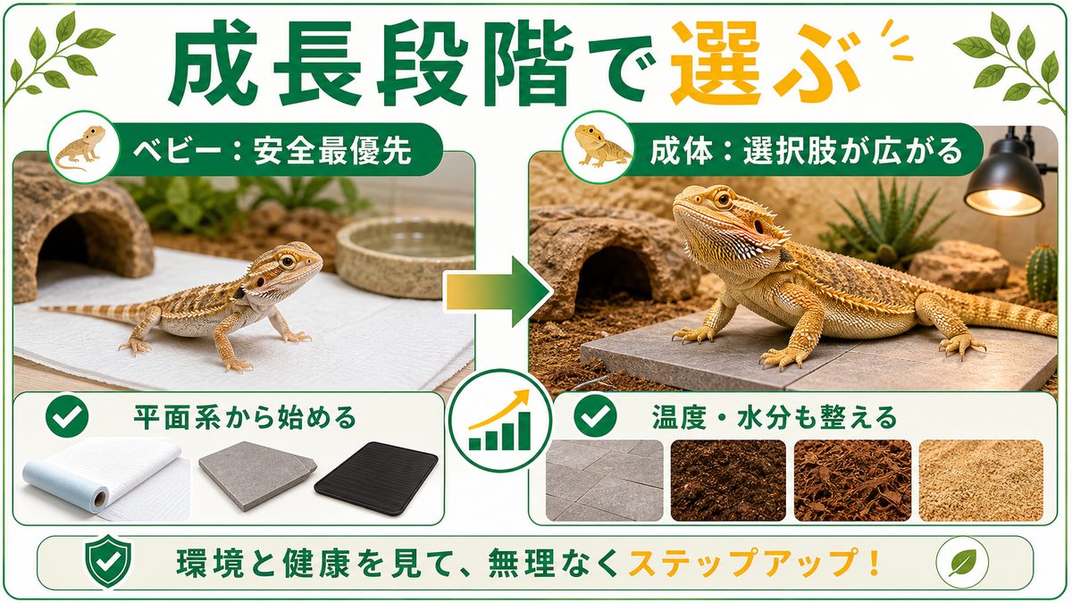 結論：フトアゴの床材は「成長段階」で選ぶのが正解の要点をまとめたカメレオン・爬虫類飼育インフォグラフィック