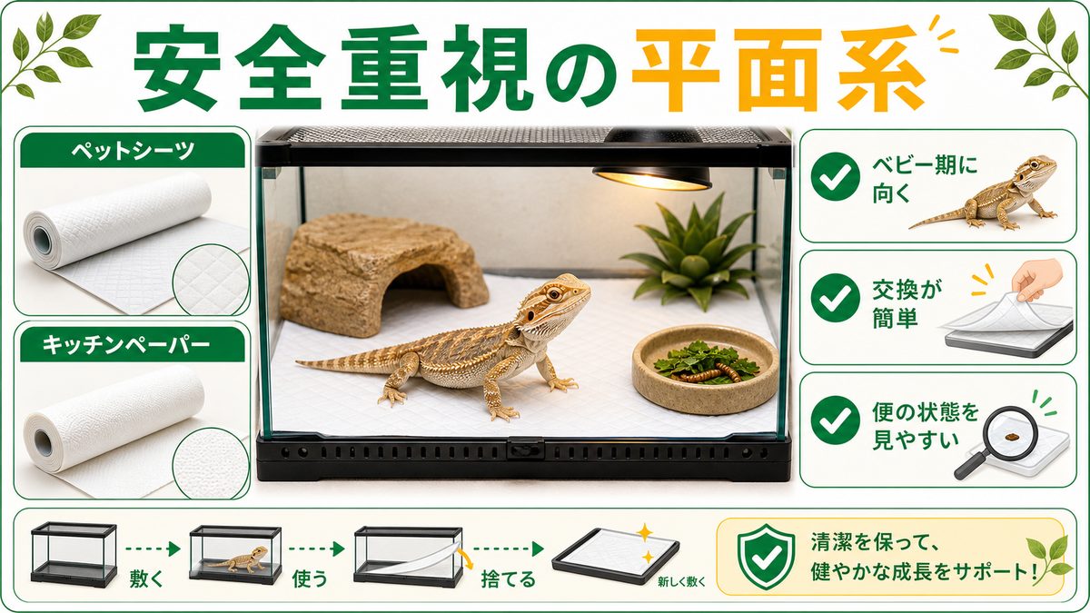 安全重視派の正解：ペットシーツ・キッチンペーパーの要点をまとめたカメレオン・爬虫類飼育インフォグラフィック