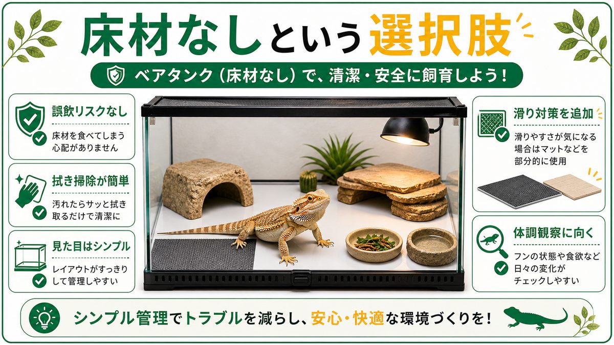 「ベアタンク（床材なし）」という選択肢の要点をまとめたカメレオン・爬虫類飼育インフォグラフィック