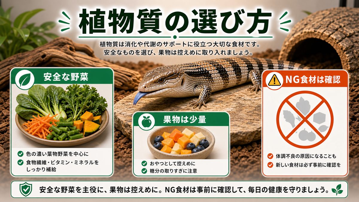 植物質:安全な野菜と絶対に避けたいNG食材の要点をまとめたカメレオン・爬虫類飼育インフォグラフィック