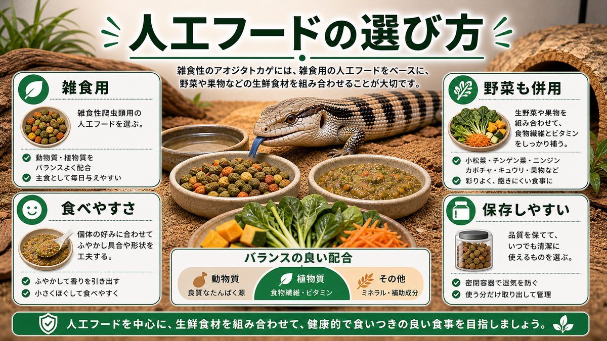雑食用人工フード/ペレットの正しい選び方の要点をまとめたカメレオン・爬虫類飼育インフォグラフィック