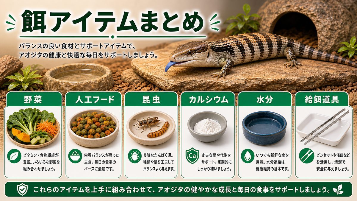 アオジタトカゲの餌・給餌のおすすめアイテムまとめの要点をまとめたカメレオン・爬虫類飼育インフォグラフィック