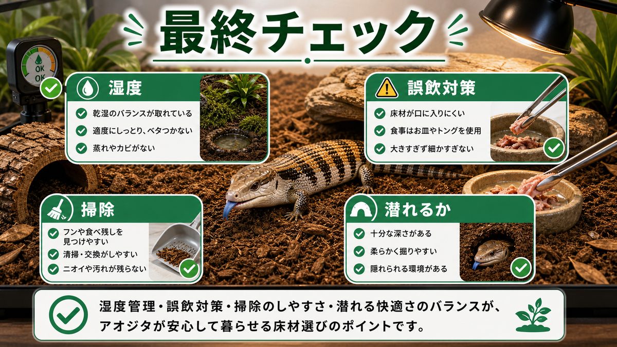 選び方の最終チェック・湿度コントロールと誤飲対策の要点をまとめたカメレオン・爬虫類飼育インフォグラフィック