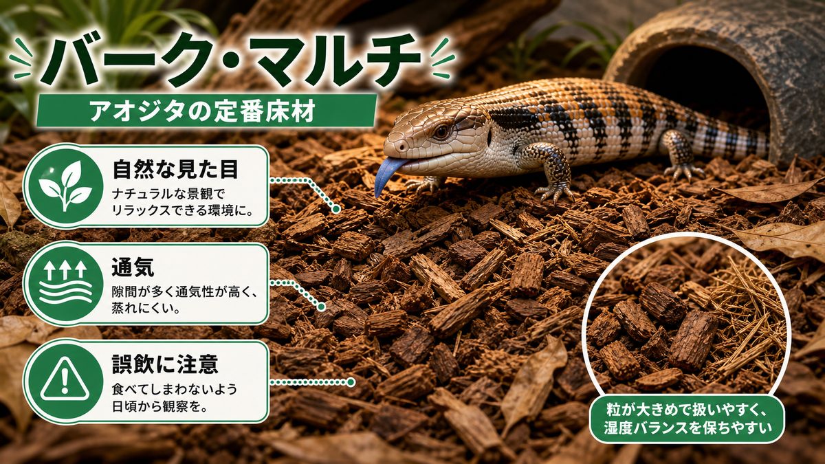 定番のバークチップ・サイプレスマルチを掘り下げるの要点をまとめたカメレオン・爬虫類飼育インフォグラフィック