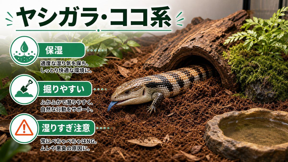 ヤシガラ・ココ系(多湿系の亜種向き)の要点をまとめたカメレオン・爬虫類飼育インフォグラフィック