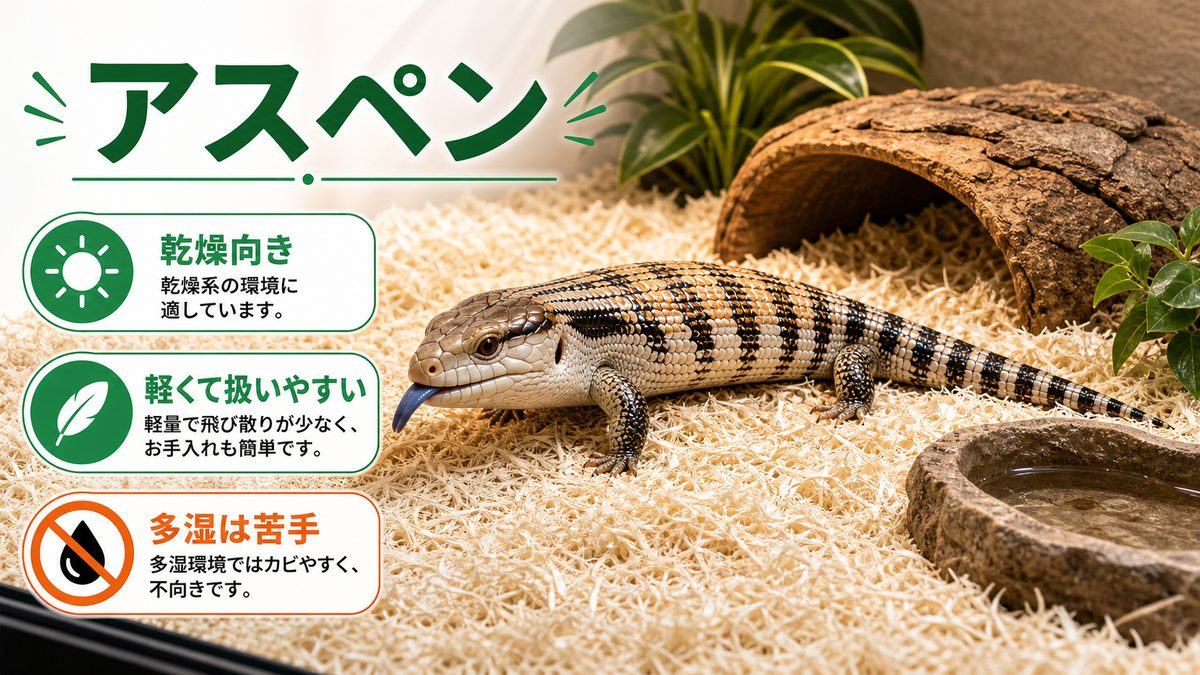 アスペン(乾燥系の亜種向き)の要点をまとめたカメレオン・爬虫類飼育インフォグラフィック