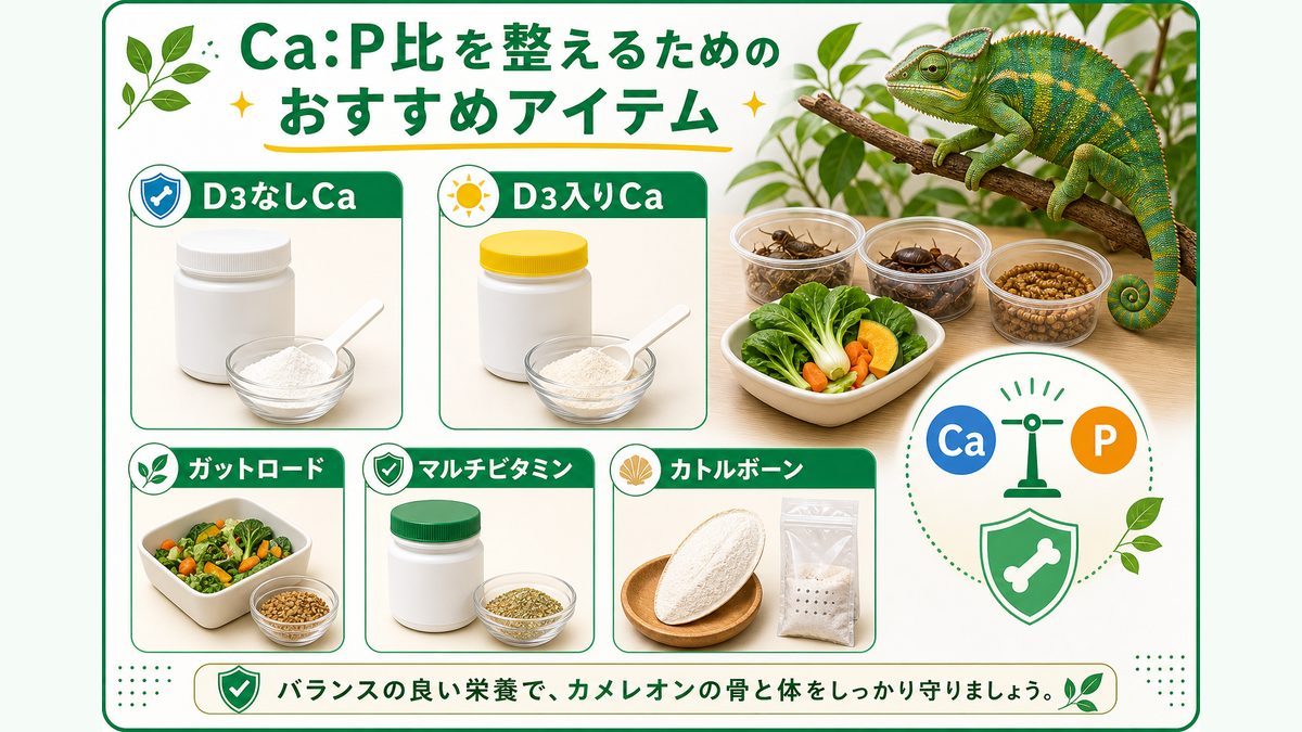 Ca:P比を整えるためのおすすめアイテムの要点をまとめたカメレオン・爬虫類飼育インフォグラフィック
