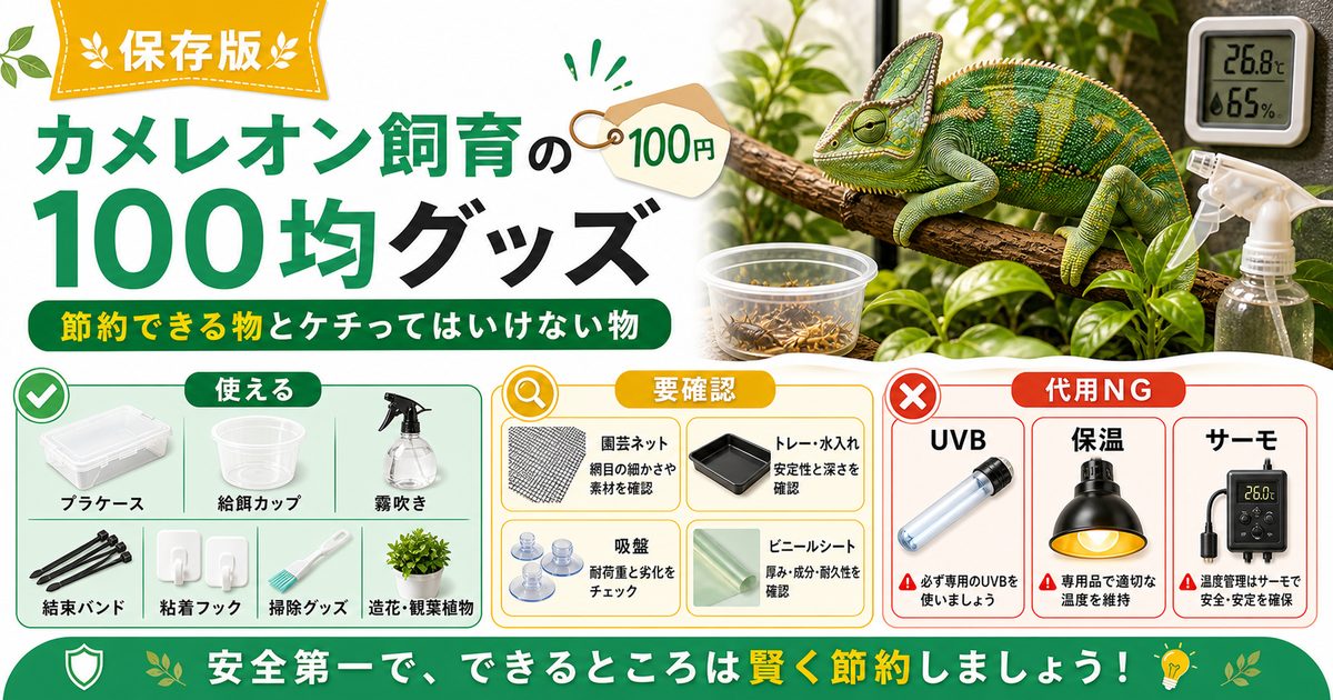 カメレオン飼育に使える100均グッズ・代用品まとめ！節約できる物とケチってはいけない物の要点を伝えるカメレオン・爬虫類記事アイキャッチ画像