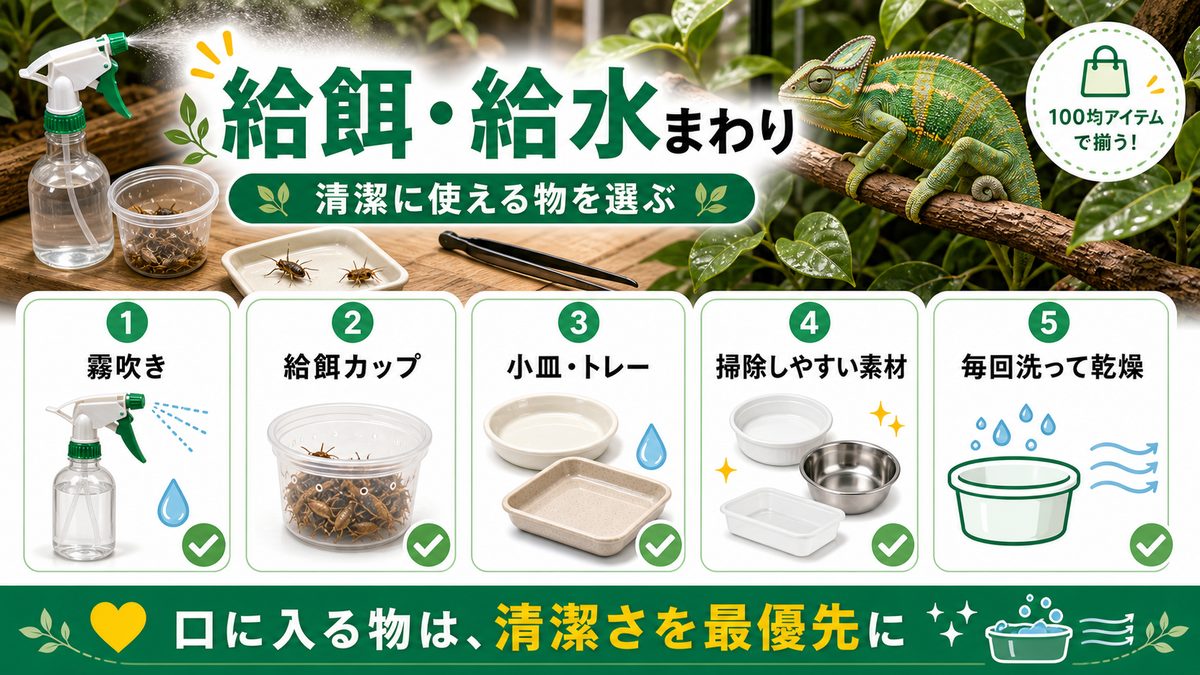 給餌・給水まわりの100均グッズの要点をまとめたカメレオン・爬虫類飼育インフォグラフィック