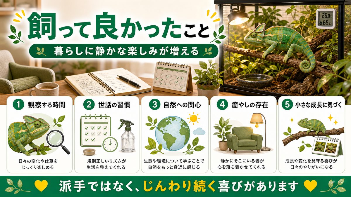 飼って良かったこと・暮らしの変化の要点をまとめたカメレオン・爬虫類飼育インフォグラフィック