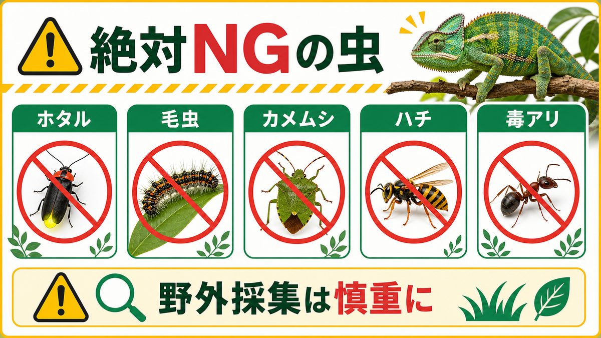 毒・危険のある虫【絶対NG】の要点をまとめたカメレオン・爬虫類飼育インフォグラフィック