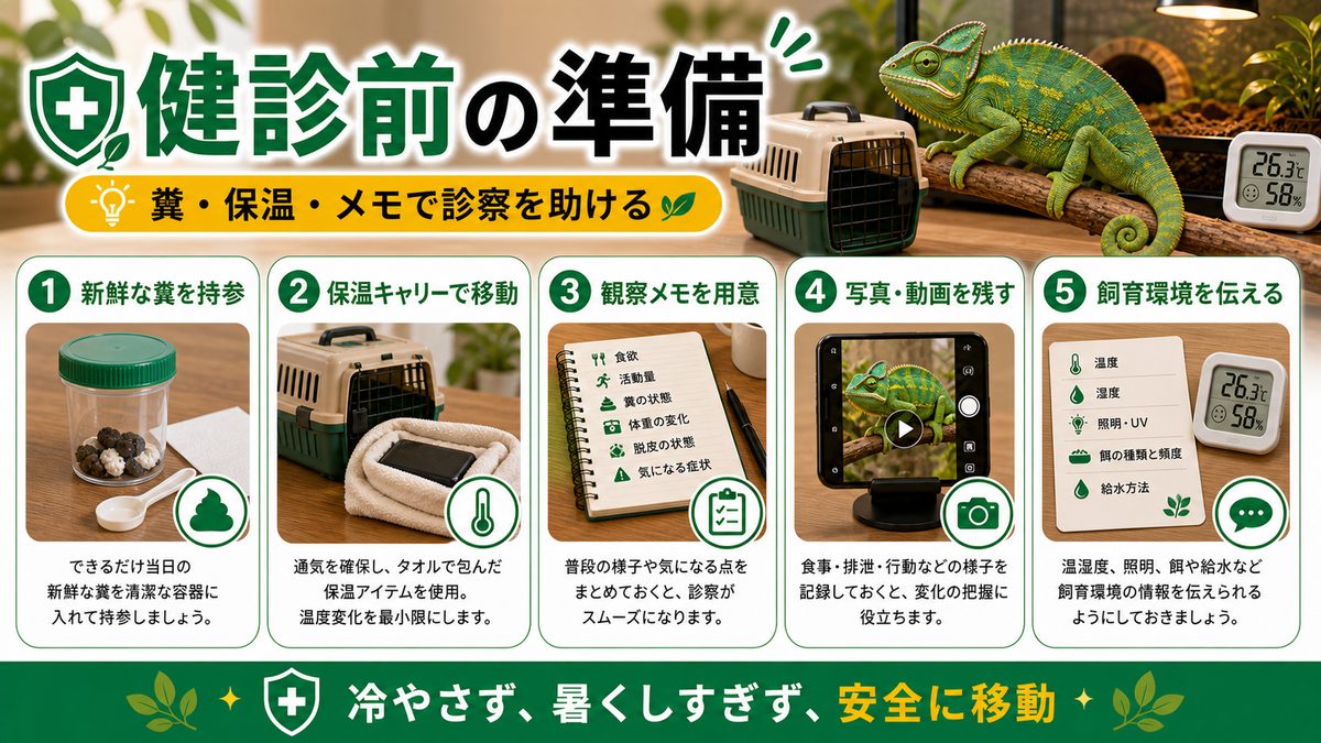 健康診断前に準備すること（糞・保温・メモ）の要点をまとめたカメレオン・爬虫類飼育インフォグラフィック