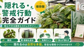 カメレオンの隠れる・警戒行動完全ガイド｜身を隠す心理とストレスサインを徹底解説の要点を伝えるカメレオン・爬虫類記事アイキャッチ画像