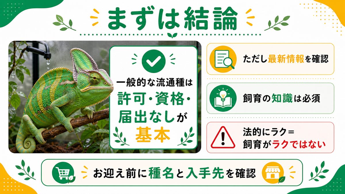 カメレオンに飼育許可・資格は必要？まずは結論の要点をまとめたカメレオン・爬虫類飼育インフォグラフィック