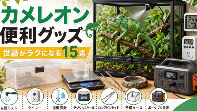 カメレオン飼育の便利グッズ15選！あると世話がラクになるお役立ちアイテムの要点を伝えるカメレオン・爬虫類記事アイキャッチ画像